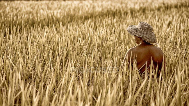 El granjero está en el campo de arroz — Stock Photo