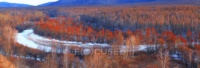 Красивый осенний пейзаж со снегом и деревьями — стоковое фото
