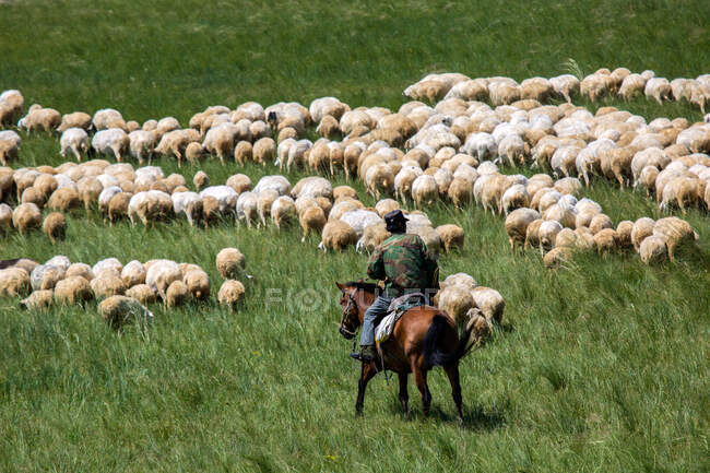 Xilingol, Mongólia Interior, China — Fotografia de Stock