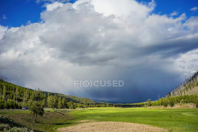 Amazing landscape with green vegetation and cloudy sky in Yellowstone National Park, USA — Stock Photo