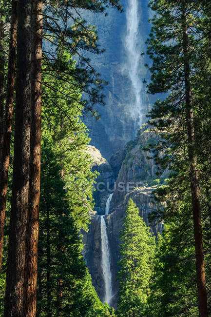 Maestosa cascata e alberi verdi nel Parco Nazionale di Yellowstone, Stati Uniti — Foto stock