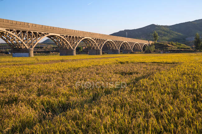 Puente arqueado sobre arrozales y montañas en un día soleado - foto de stock