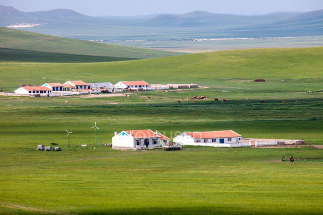 Hermoso paisaje con la escena de pastizales y casas mongolas - foto de stock