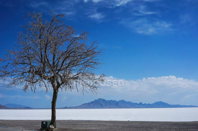 Beautiful landscape with mountains and Salt Lake, USA — Stock Photo