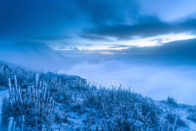 Increíble paisaje de invierno con plantas congeladas, montañas cubiertas de nieve y cielo nublado - foto de stock