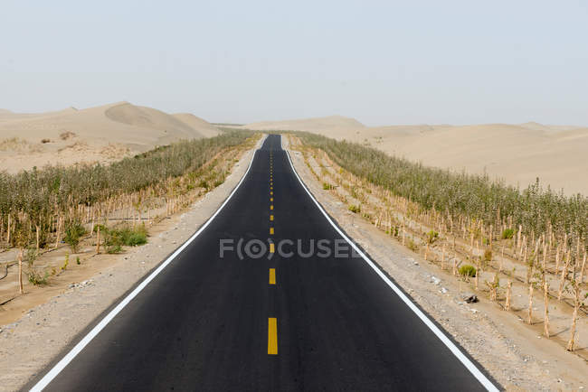 Camino de asfalto en el desierto con montañas rocosas escénicas en el día soleado - foto de stock