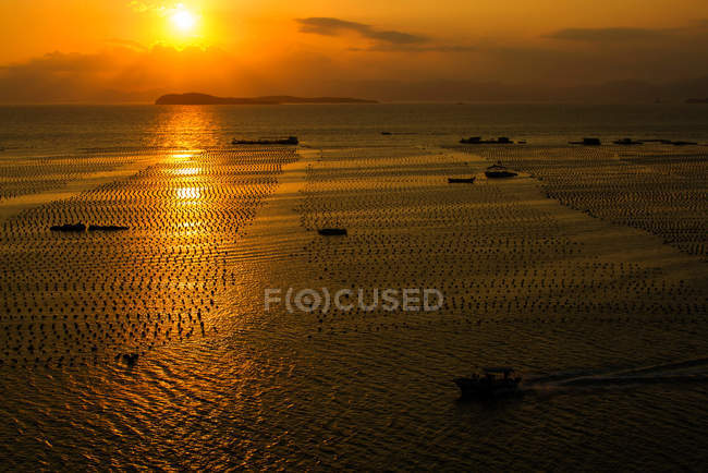 Високий кут огляду кораблів у порту на заході сонця (Шеньчжень, Китай). — стокове фото