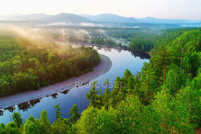 Повітряний вид на красиву річку і зелений ліс в сонячний день — стокове фото