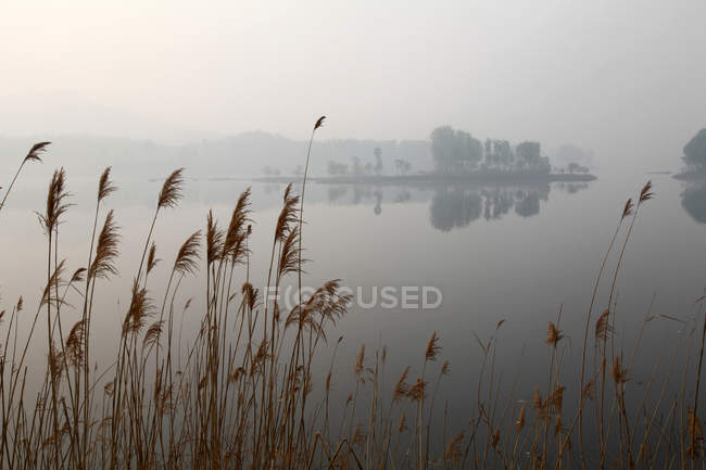 Beautiful landscape with lake coveerd with fog, qianxi, Hebei, China — Stock Photo
