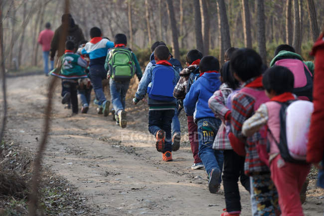 Vista posterior de la maestra y estudiantes de escuela primaria rural china caminando al aire libre - foto de stock