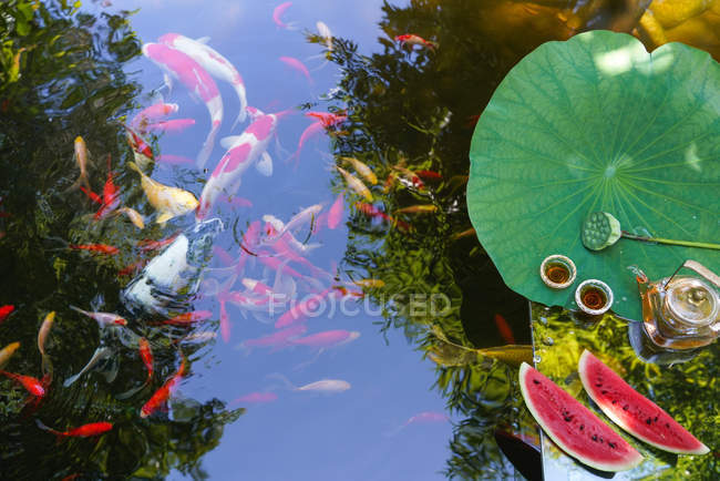Top view of tea set, green leaf and sliced watermelon on glass table and goldfish swimming in calm pond — Stock Photo