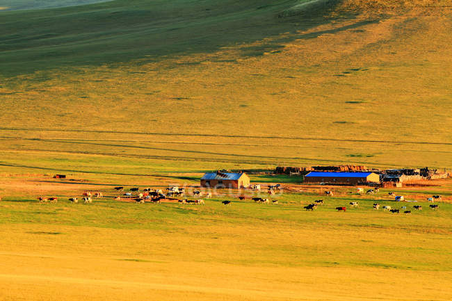 Hulun Buir Grassland scenario della Mongolia Interna — Foto stock