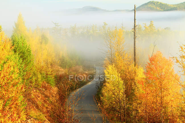 Hermoso paisaje de otoño con la Gran Cordillera Khingan, provincia de Heilongjiang, China - foto de stock