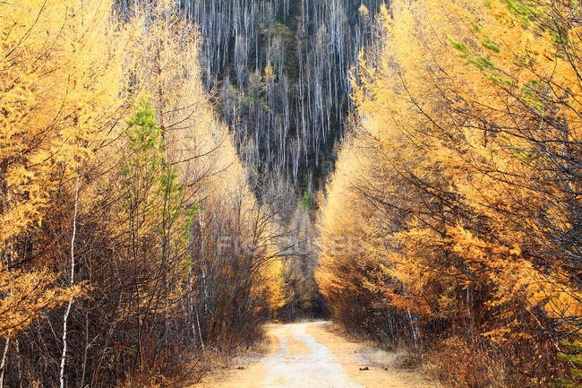 Beautiful landscape with Greater Khingan Range in autumn, Heilongjiang Province, China — Stock Photo