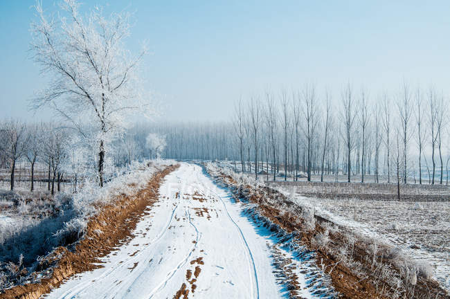 Estrada rural coberta de neve no dia ensolarado de inverno — Fotografia de Stock