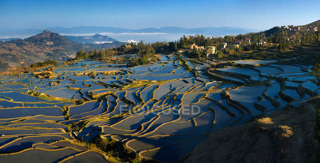 Vista ad alto angolo della terrazza Yuanyang nella provincia dello Yunnan, Cina — Foto stock