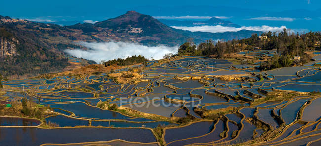 Vista de ángulo alto de la terraza Yuanyang en la provincia de Yunnan, China - foto de stock