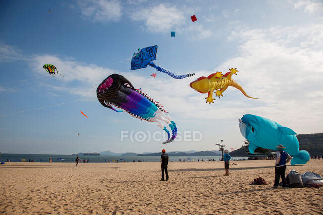 Drachenfliegen am Strand in Shenzhen, Provinz Guangdong, China — Stockfoto
