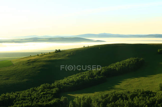 Дивовижний краєвид з зеленими пагорбами, покритими пишною рослинністю, високий кут зору — стокове фото