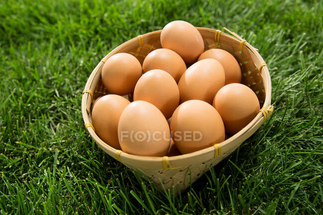 Huevos verdes frescos en la hierba - foto de stock