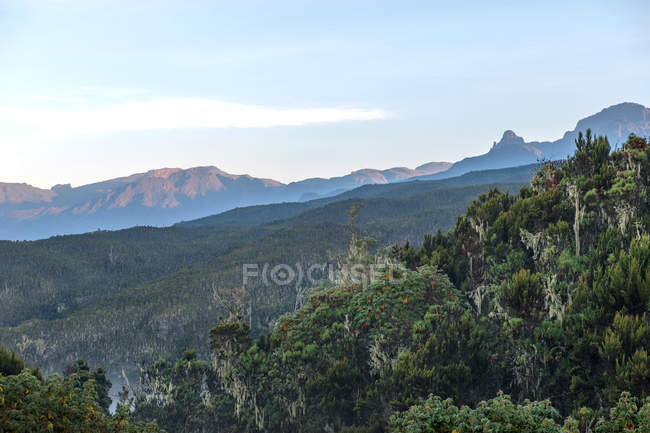 Дивовижний гірський пейзаж з зеленими деревами на гірських схилах вдень — стокове фото