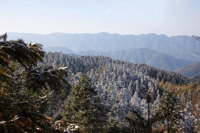 Красивий пейзаж Янга гір у провінції Хунань, Китай — стокове фото