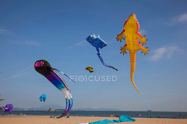 Aquiloni che volano sulla spiaggia di Shenzhen, provincia del Guangdong, Cina — Foto stock