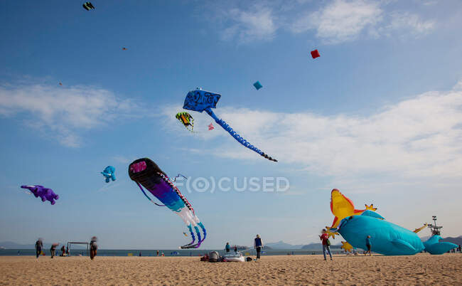 Aquilone che vola sulla spiaggia di Shenzhen, provincia del Guangdong, Cina — Foto stock