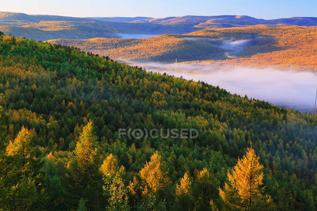 Hermoso bosque de otoño en la Gran Cordillera Khingan, provincia de Heilongjiang, China - foto de stock