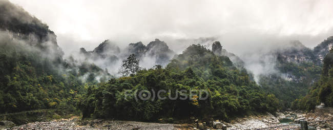 Asombroso paisaje con árboles verdes y montañas rocosas cubiertas de nubes - foto de stock