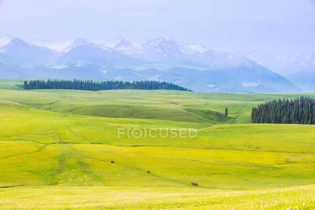 Verdes colinas y cielo azul en Toscana - foto de stock
