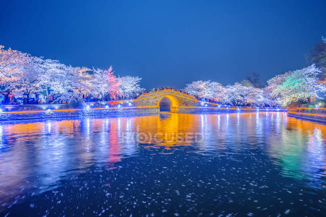 Turtle Head Islet, persone che godono della vista notturna dei fiori di ciliegio, Wuxi, Provincia di Jiangsu, Cina — Foto stock