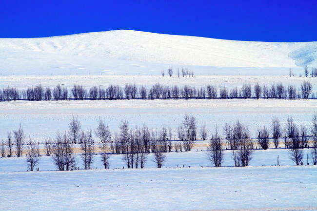 Belle scène d'hiver à Hulun Buir, Mongolie intérieure — Photo de stock