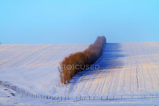 Beautiful winter scene in Hulun Buir, Inner Mongolia — Stock Photo