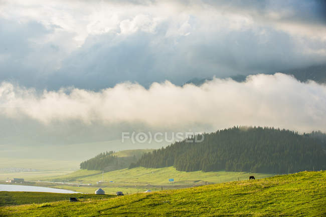 Increíble paisaje de montaña con bungalows en pendiente verde, cuerpo de agua y bosque en el día nublado - foto de stock