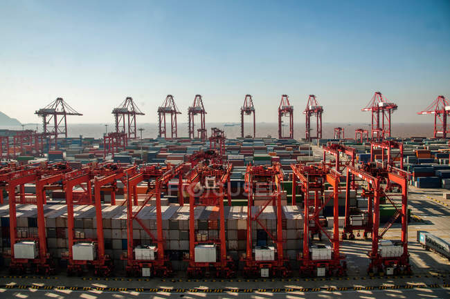 Gru e container di carico in porto in Cina — Foto stock