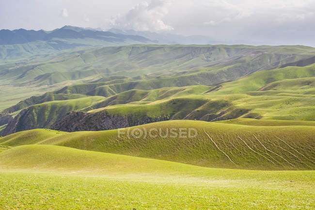 Paysage étonnant avec des collines pittoresques couvertes de végétation verte par temps nuageux — Photo de stock