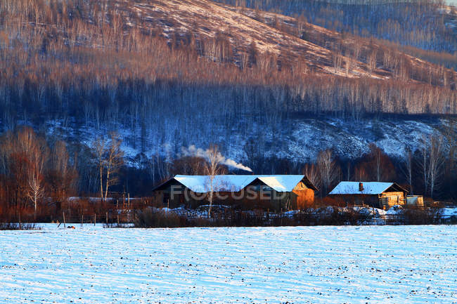Province du Heilongjiang, Grand Khingan Range dans la neige d'hiver, Chine — Photo de stock
