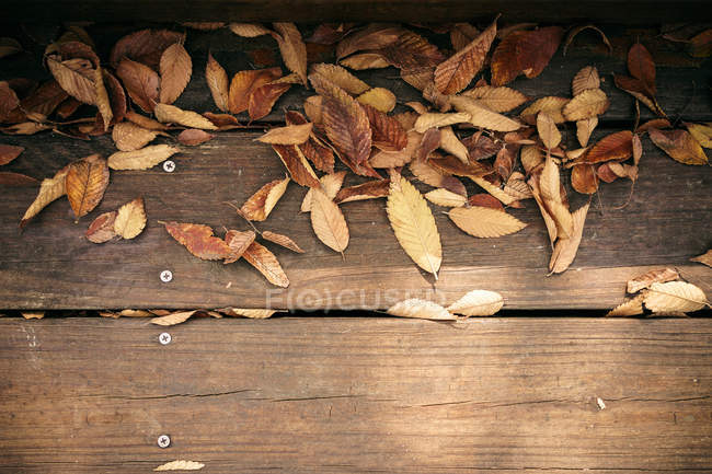 Vista superior de hojas de otoño caídas secas sobre fondo de madera - foto de stock