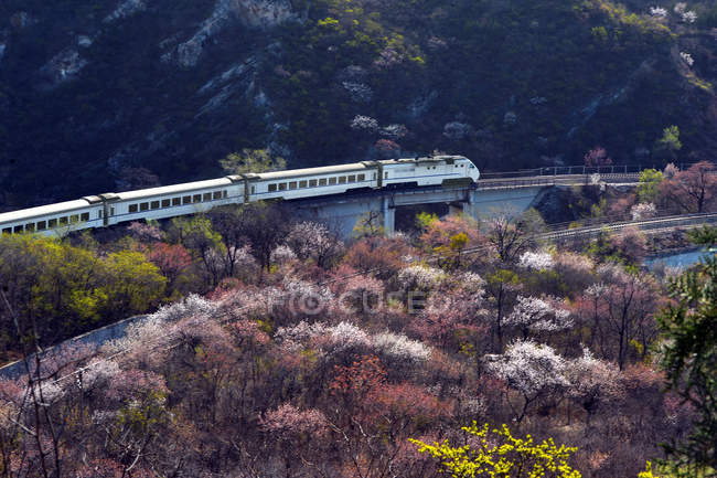 High angle view of train in beautiful mountains at springtime — Stock Photo