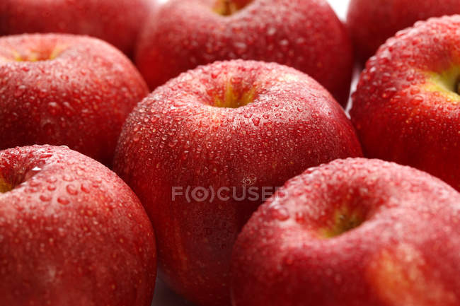 Primo piano vista di mele rosse fresche mature bagnate — Foto stock