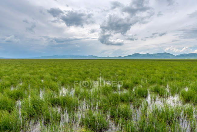 Sichuan aba Grasland Feuchtgebiet Landschaft, China — Stockfoto