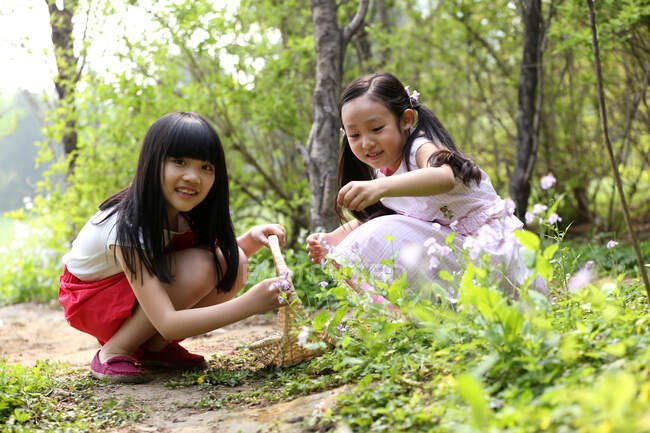 Two girls picking flower in field — Stock Photo