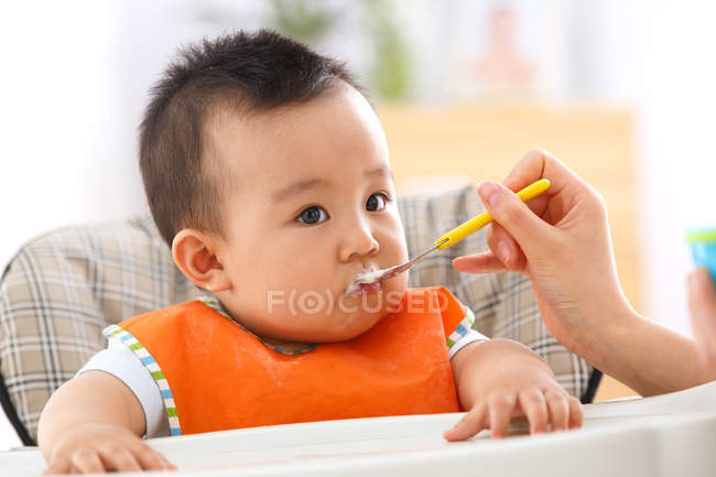 Обрезанный снимок матери, держащей ложку и кормящей очаровательного малыша — стоковое фото