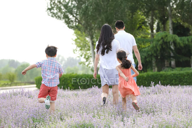 Счастливые семьи играют в пригороде — стоковое фото