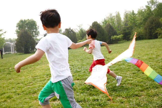 Дети играют в воздушного змея на открытом воздухе — стоковое фото
