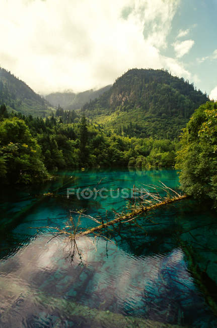 Дивовижний краєвид з спокійним синім озером і зеленої рослинністю в горах, Jiuzhaigou провінції, провінція Сичуань, Китай — стокове фото