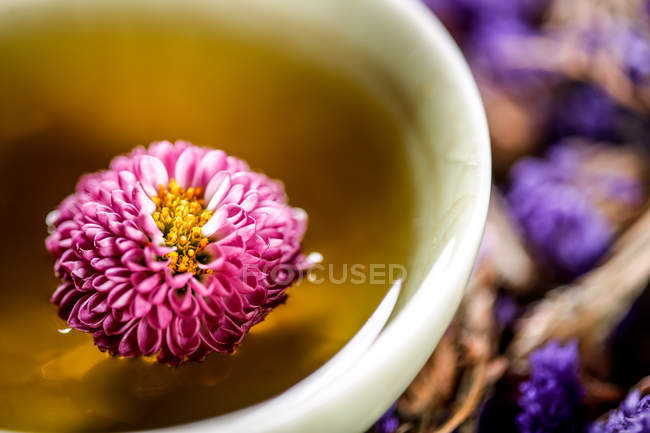 Close-up view of healthy organic herbal tea in cup — Stock Photo