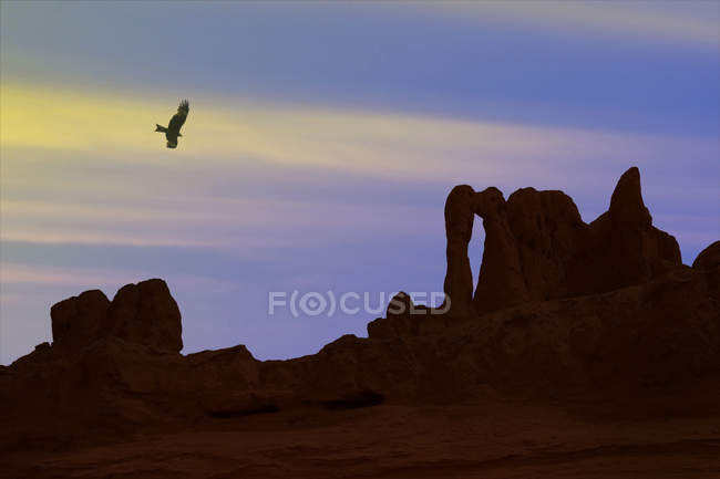 Aves volando en el cielo sobre formaciones rocosas en Xinjiang, China - foto de stock