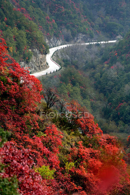 Paisagem de Outono no Condado de Lushi, província de Henan, China — Fotografia de Stock